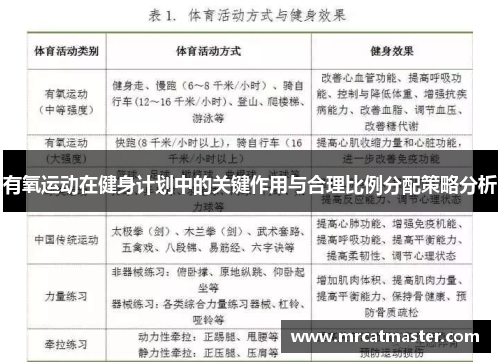 有氧运动在健身计划中的关键作用与合理比例分配策略分析