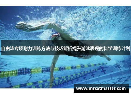 自由泳专项耐力训练方法与技巧解析提升游泳表现的科学训练计划