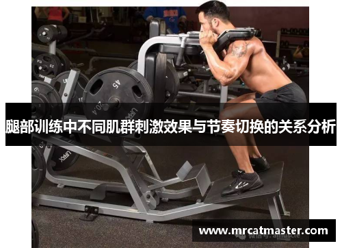腿部训练中不同肌群刺激效果与节奏切换的关系分析
