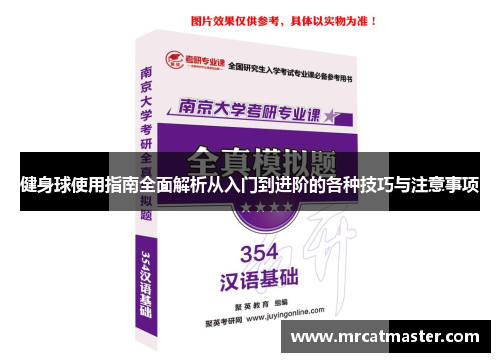 健身球使用指南全面解析从入门到进阶的各种技巧与注意事项